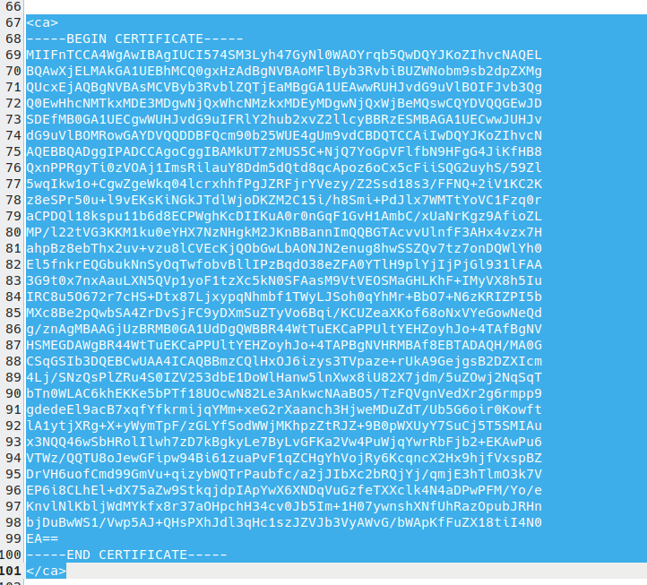 The OpenVPN TLS certificate