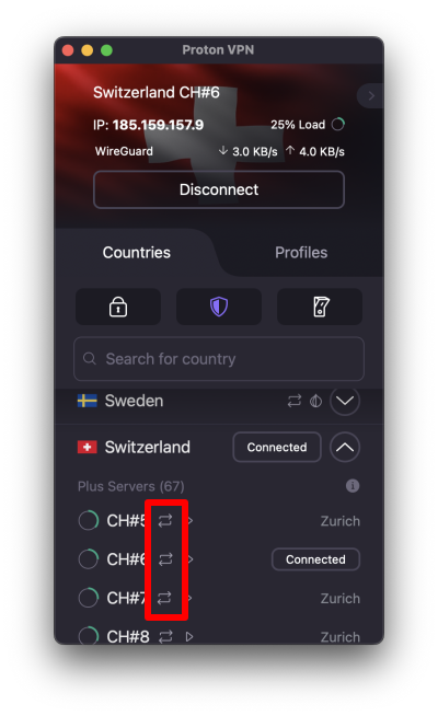 How to spot torrent servers in Proton VPN apps